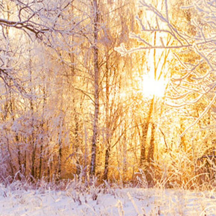 Happy Holidays from Kaseware